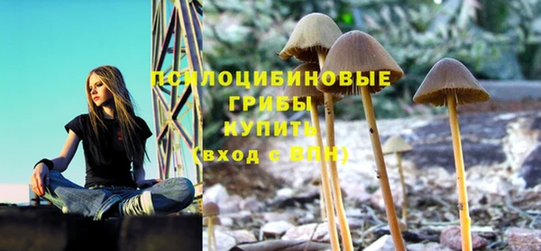 ешки Алексин
