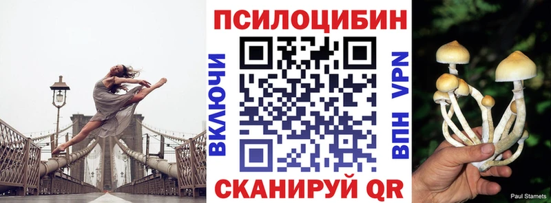 Галлюциногенные грибы GOLDEN TEACHER  сколько стоит  Олонец 